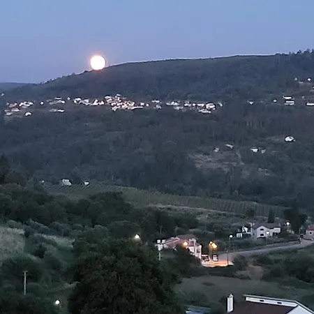 Casa Ouro D'alva - Luxury Lodging, & Wellness Penalva do Castelo