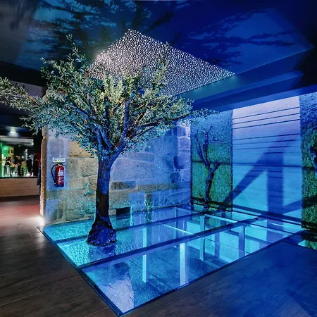 Casa Ouro D'alva - Luxury Lodging, & Wellness Daire Penalva do Castelo